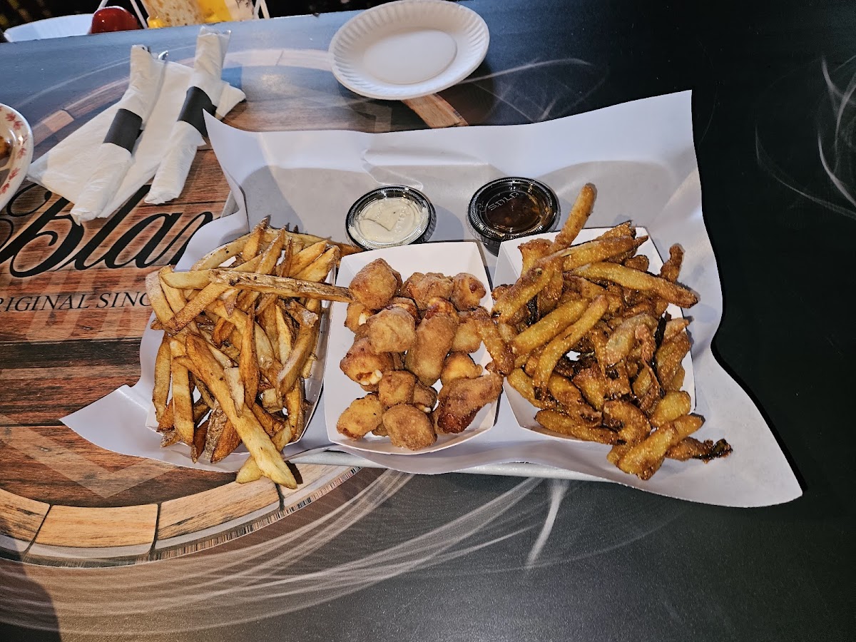 Wild Turkey Photos 2